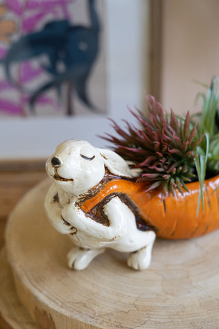 Sweet Rabbit Planter