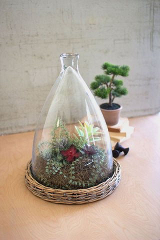 Large Glass Cloche with Wicker Base