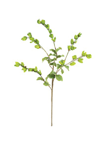 Leafy Limb