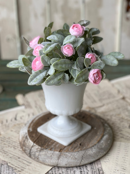 Cotillion Camellia Half Sphere | 11"