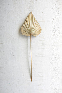 palm spear