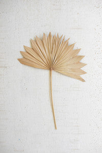 SUN PALM