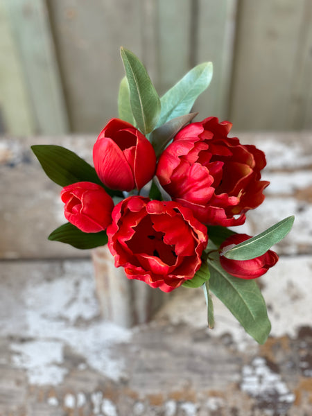 Grand opening tulip