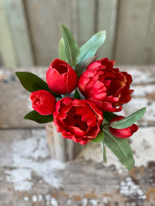 Grand opening tulip