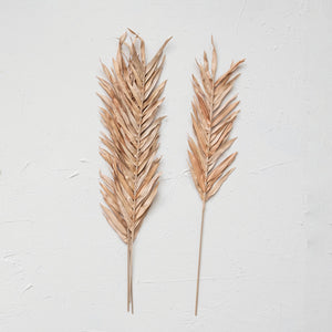 dried natural palm